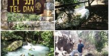 Приглашаем на экскурсию: заповедник Тель-Дан, вода, природа, история, дегустации…