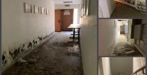 Детский сад в Кирьят-Элиэзере и депутат Кнессета: вопрос, который я задал спустя годы