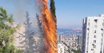 Штрафы и опасность: почему в Хайфе нельзя разжигать огонь