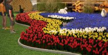 Грандиозная выставка цветов Flowers в Тель-Авиве. 2 миллиона цветов со всего мира