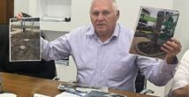 Город теряет дыхание: зелёные лёгкие Хайфы под угрозой