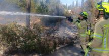 ЧП в Хайфе: : пожар вспыхнул в роще среди жилой застройки