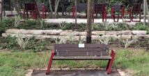 Обновление с недоделками: что происходит вокруг «Аудиториума» в Хайфе